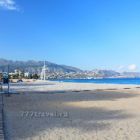 Kaktus_Albir_Costa_Blanca