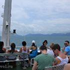 samui_thailand_81